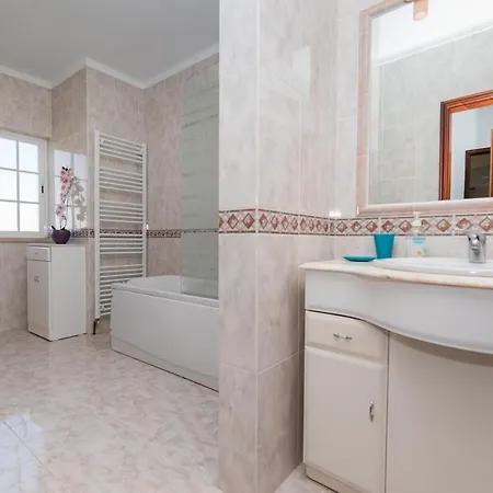 With Swimming Pool 别墅 *